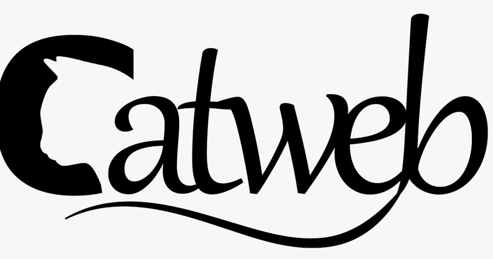 Catweb Reklam Ajansı İngiltere’den Sonra Artık Türkiye’de