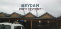 Meydan Kuzu Çevirme