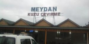 Meydan Kuzu Çevirme