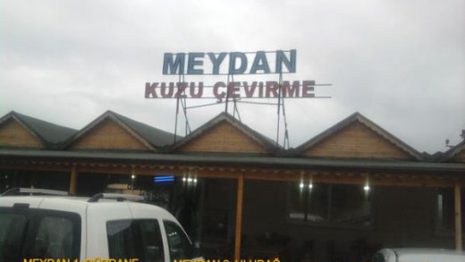 Meydan Kuzu Çevirme