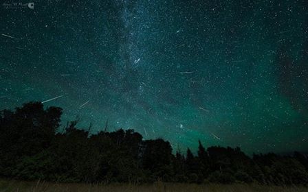 Bir Gökyüzü Şöleni, Perseid Meteor Yağmurları