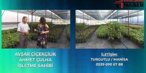 AVŞAR ÇİÇEKÇİLİK