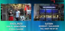 BAKAMAYACAĞIN HAYVANI ASLA SAHİPLENME EVCİL PETS