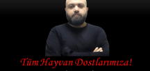 Tüm Hayvan Dostlarımıza!
