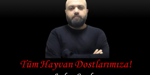 Tüm Hayvan Dostlarımıza!