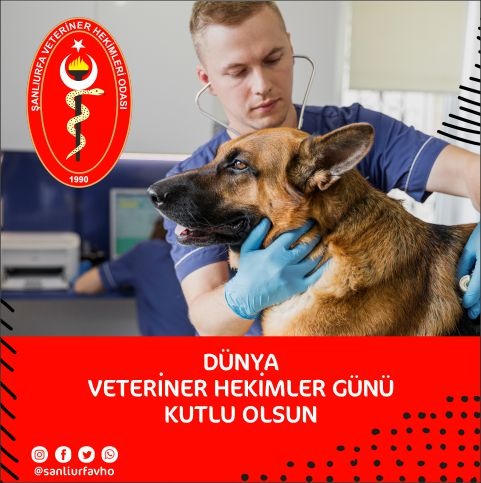 Şanlıurfa Veteriner Hekimleri Odası Başkanı Abdullah Açıkgöz `den Dünya Veteriner Hekimler Günü Mesajı