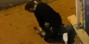 Sarıyer’de köpeği boğmaya çalışan şüpheli tutuklandı