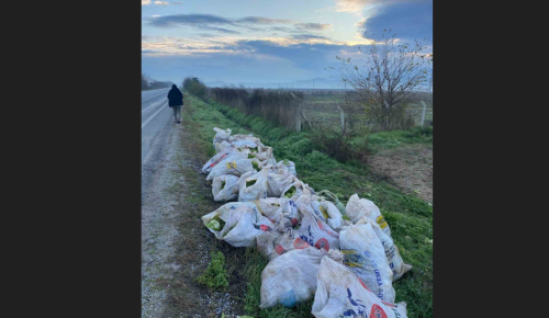 Tire’de çuval çuval marul çalan 3 şüpheli tutuklandı