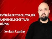 Serkan Candaş Yazdı… Zeytinlikler Yok Oluyor, Bir Ülkenin Geleceği Talan Ediliyor