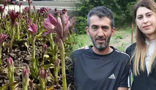 Kilosu Bin Liraya Ulaştı