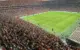 Galatasaray Hayvan Haklarıyla Gündemde
