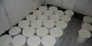 Bir Yoğurt Markasında Jelatin Skandalı