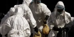 Dünya Sağlık Örgütü’nden Kritik Uyarı