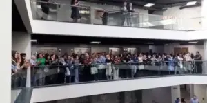Kedi Cezve İçin Adalet Yerini Buldu