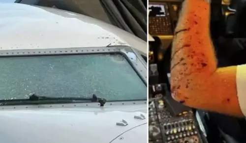 Yolcu Uçağına Meteor Çarptı, Pilot Yaralandı