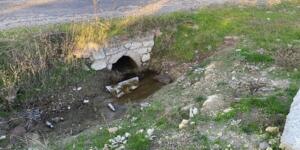 Çanakkale’de Vicdanları Sızlatan Olay