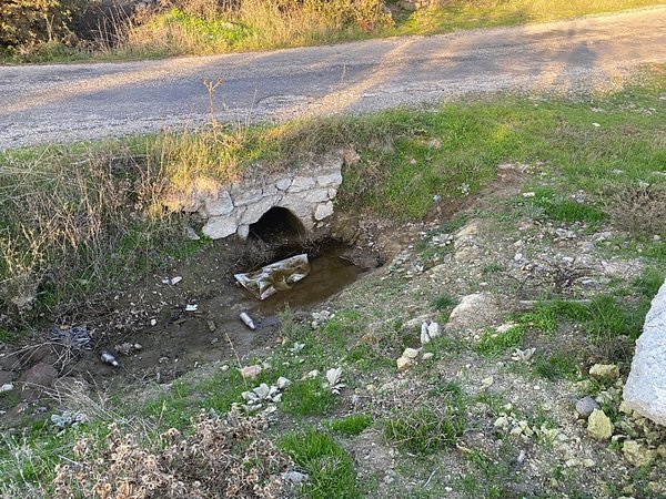 Çanakkale’de Vicdanları Sızlatan Olay